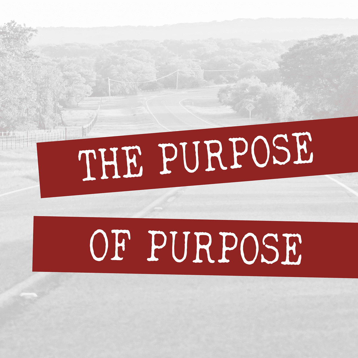 The Purpose of Purpose