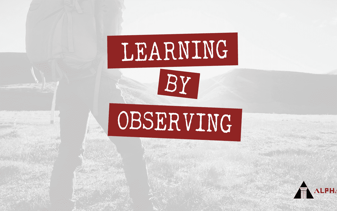 Learning by Observing