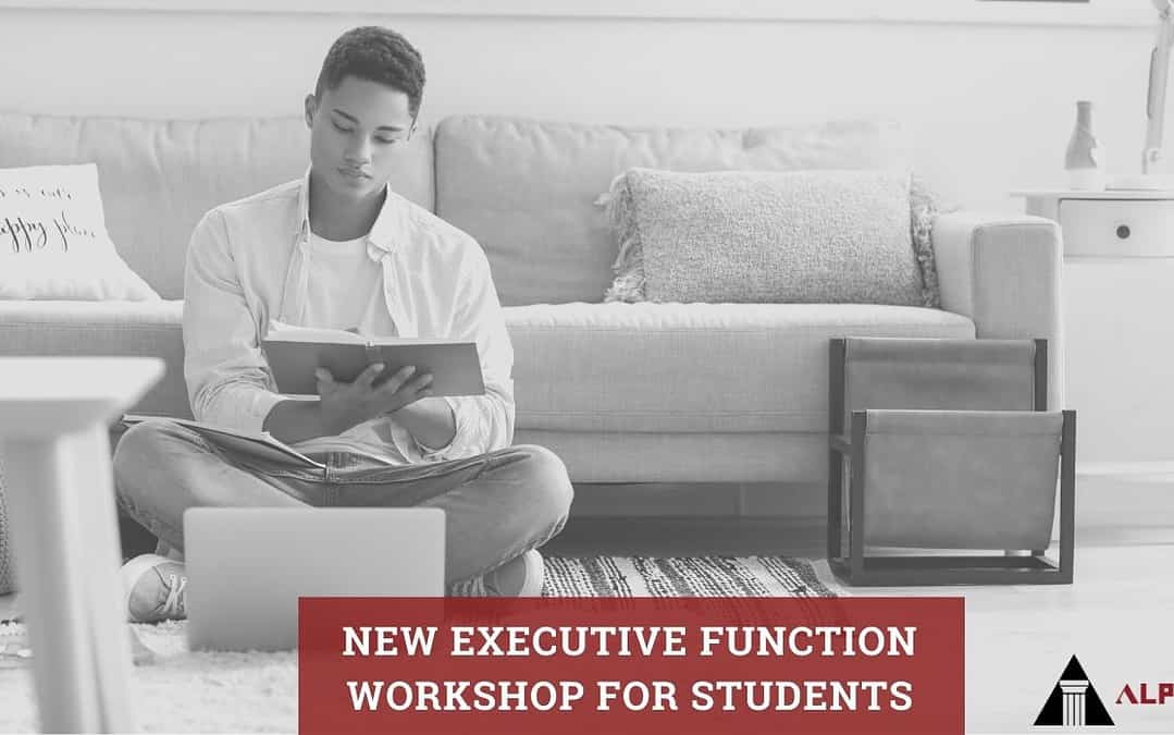 New Executive Function Workshop for Students